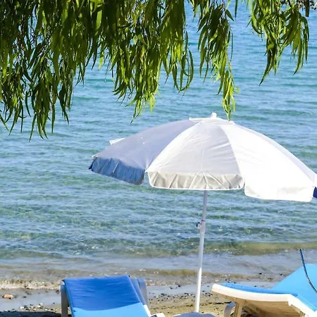 Cyprus For You Limisso